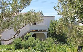 Apartments 501 - Spacious And Bright Apartment On Island Of Rab